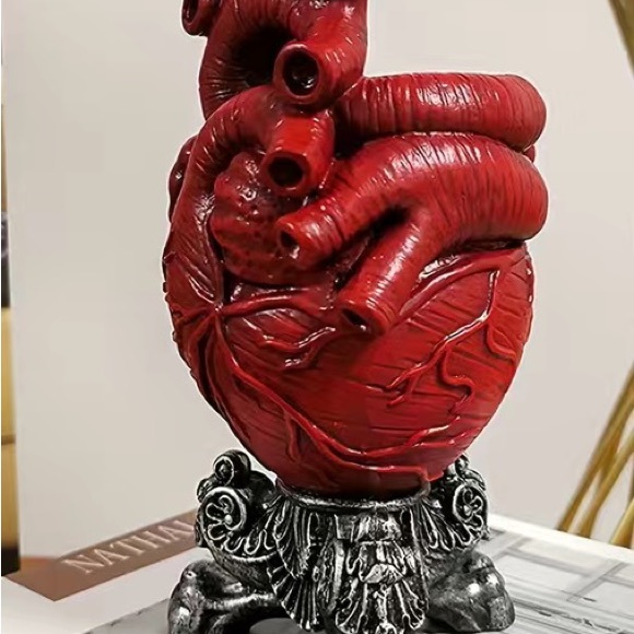 New gothic red anatomical heart vase - Picture 3 of 8